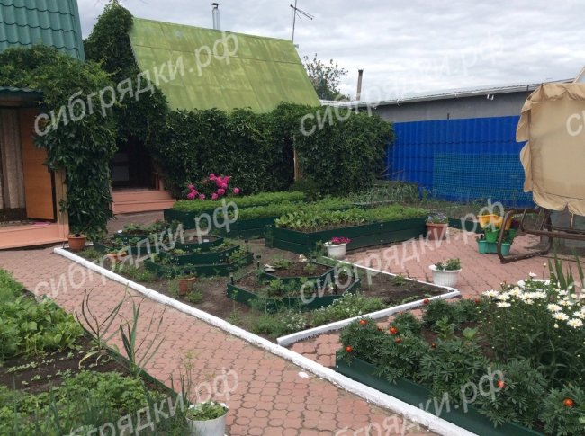 Клумба "Альпийская горка" в Краснодаре Клумба "Альпийская горка" в Краснодаре