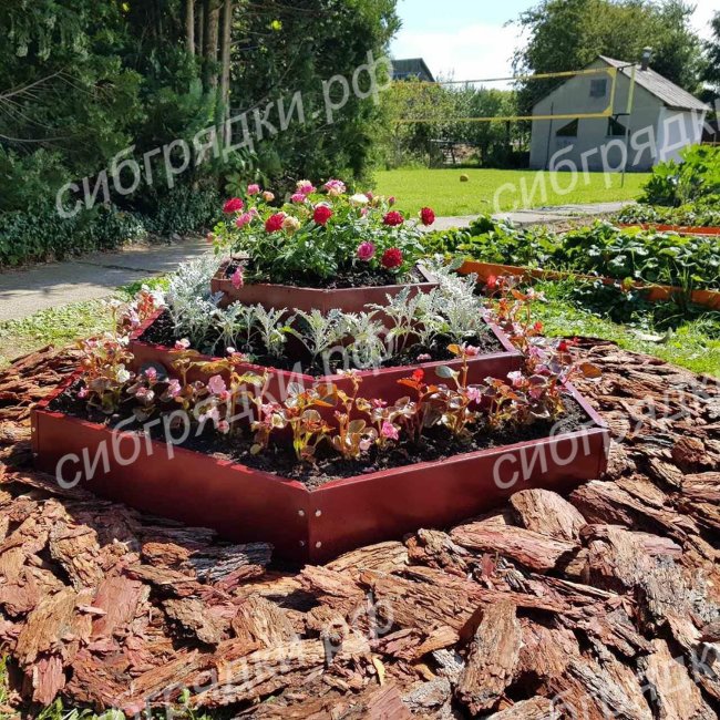 Клумба "Альпийская горка" в Краснодаре Клумба "Альпийская горка" в Краснодаре