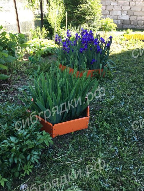 Клумба "Сота" 400 в Краснодаре