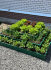 Клумба "Квадро" в Краснодаре