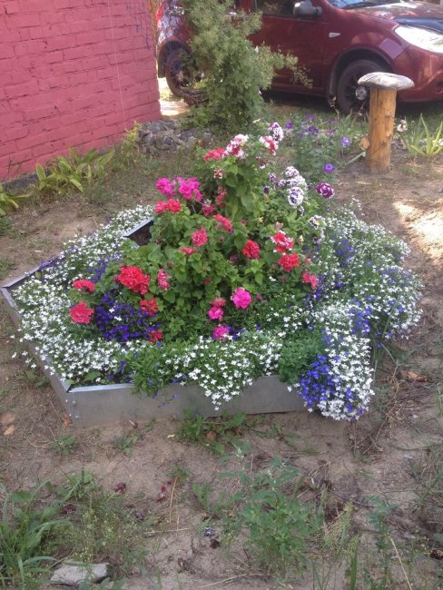 Оцинкованная клумба "Сота" 500 в Краснодаре
